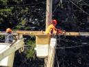 The north lead “H-Frame” temporary repair: Feed lines to about half the antennas go through this frame. Cracking boards were causing wires to touch the frame, risking collapse. A final rebuild will be done later this year.