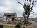 The Mena tornado ripped through this residential area, wrapping metal around an oak tree. [Photo courtesy of National Weather Service, Little Rock]